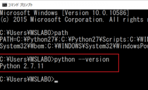 10-python_install